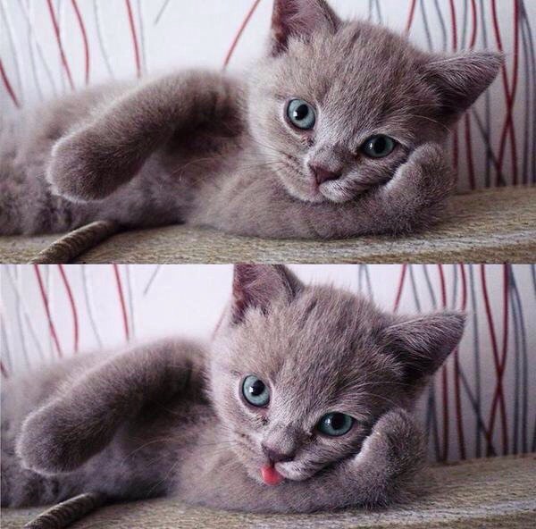 Подборка картинок на среду