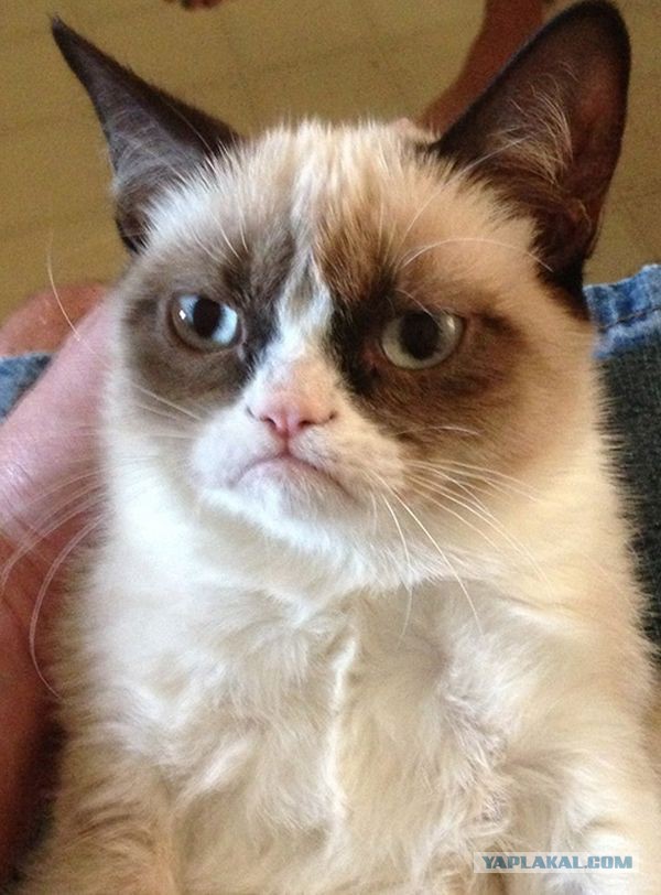 Фотографии с вечеринок, которые знаменитости хотели бы скрыть от нас