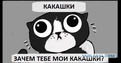 Я думал они только в сказках существуют, как единороги
