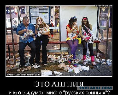 Фанаты сборной Англии во время матча с Россией оскорбляли Путина и Шарапову