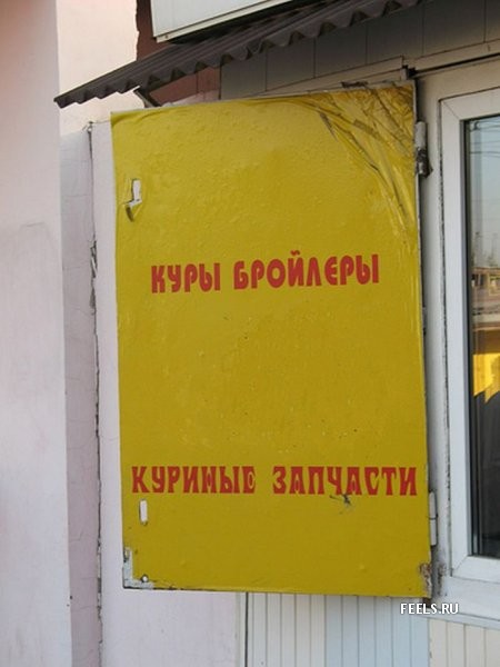 ВЫВЕСКИ, ТАБЛИЧКИ. Смешные и прикольные