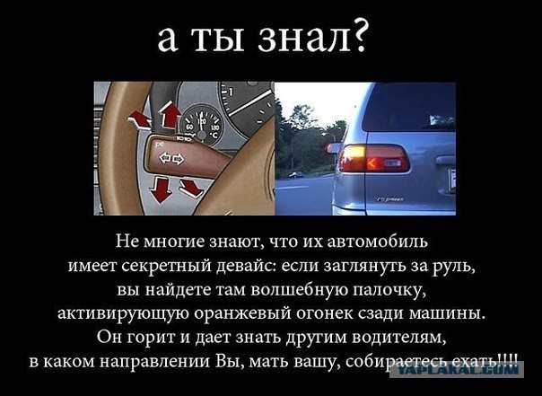 Важное устройство в автомобиле, о котором не знает четверть водителей.