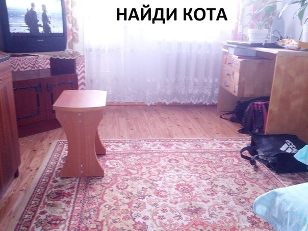 Картинки и приколы из сети