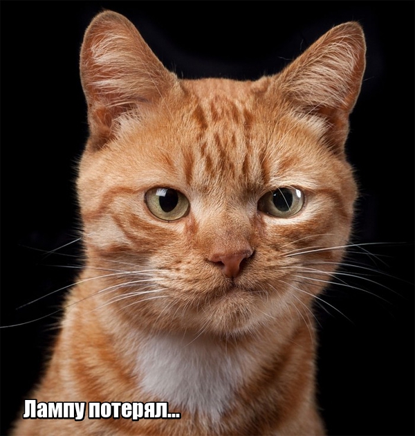 Собеседование