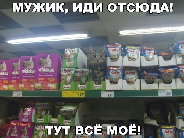 Прикольные животные