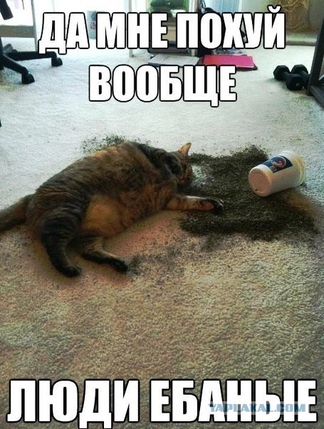 Когда им скучно
