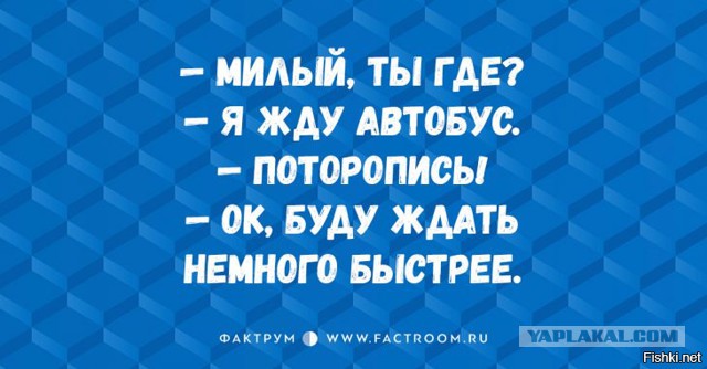 В преддверии упоротой пятницы