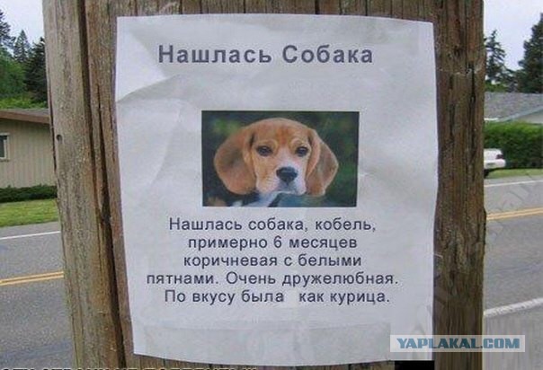 Картинки из инета