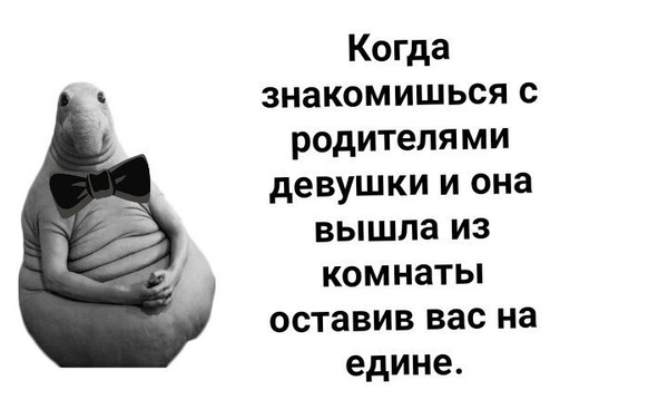 «В других странах такого фурора не было»: создательница Ждуна рассказала о его популярности в России