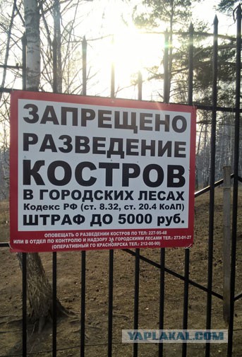 Можно ли жарить шашлыки в Красноярске?