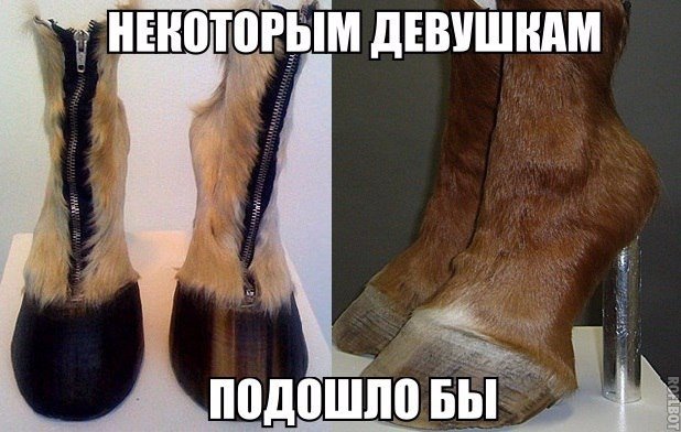 Подборка безудержного веселья