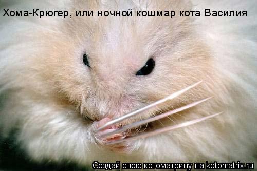 Кот и ужастик