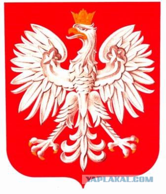 Чистокровный ариец