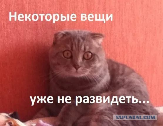 Как Мне Это Развидеть Картинки
