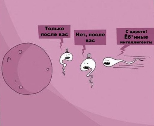 Сын Патрушева возглавит Минсельхоз. Ткачёв - всё.