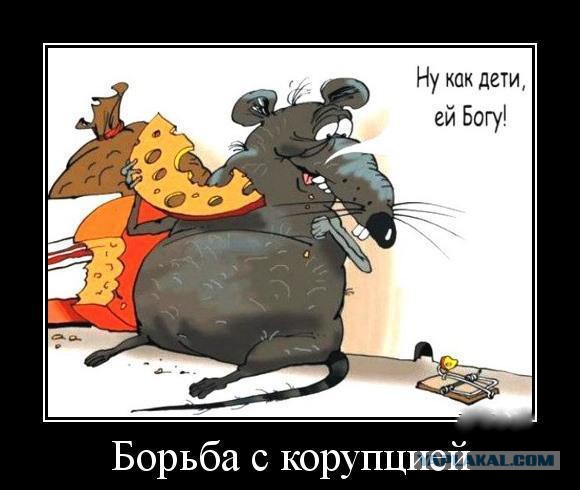Главой Росгвардии занялся главный военный прокурор