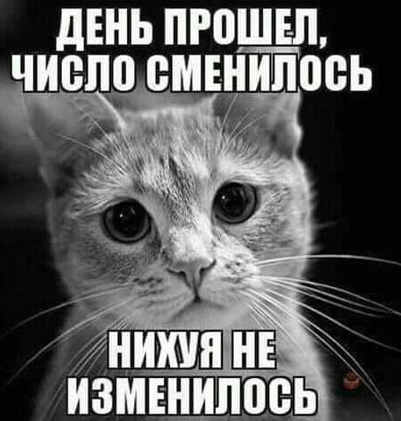 Немного картинок для настроения 28.03.20