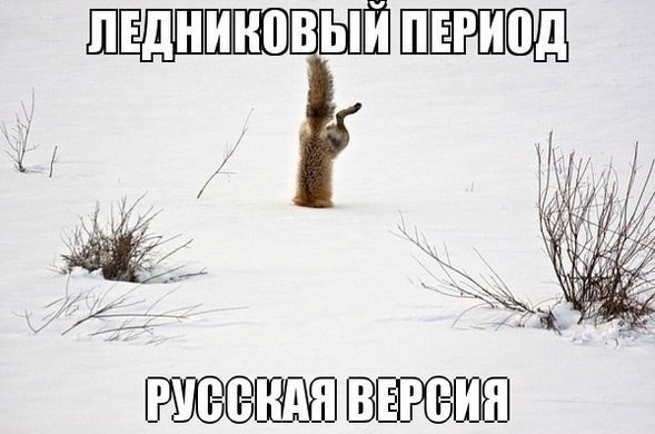Чуток картинок 02.04.20