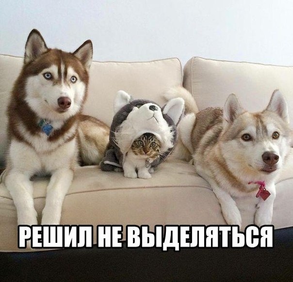Чуток картинок 09.06.20