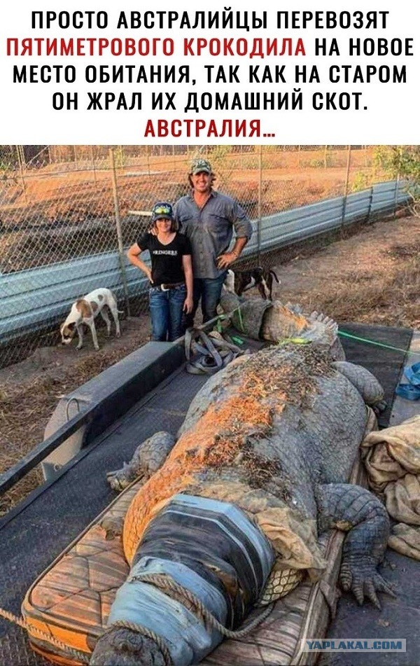 Бредзона