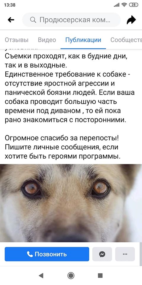 Собаки кусают только плохих...