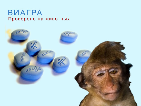 Проспал экзамен!