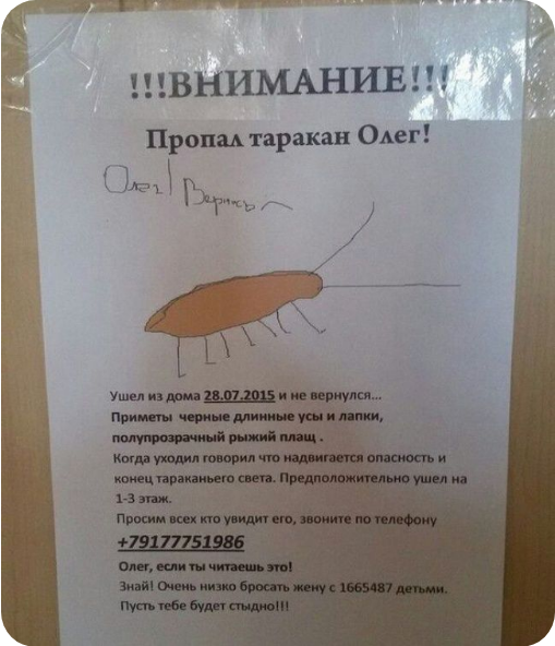 Так себе картинки 13.03.21