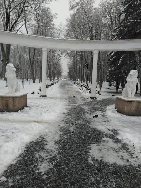 Ездил я в Карпаты значит
