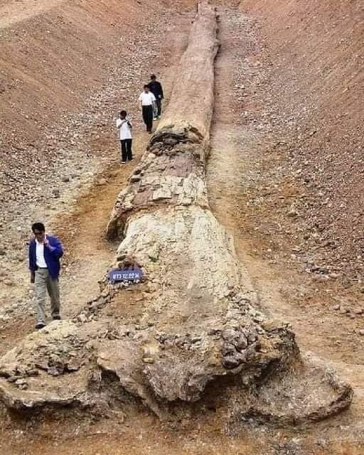 Малоизвестные исторические факты