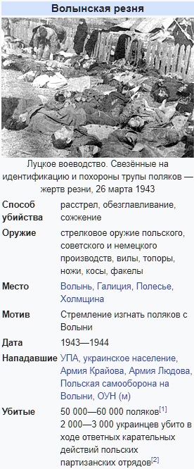 Шествие украинских националистов в Лодзи (Польша)