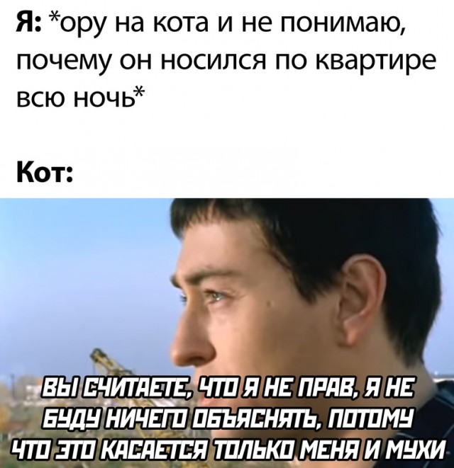 Немного картинок."Колбасный ветер". Август