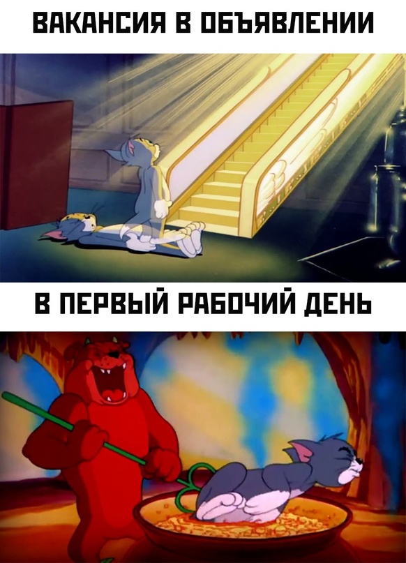 Весёлый полтишок 10.11.22