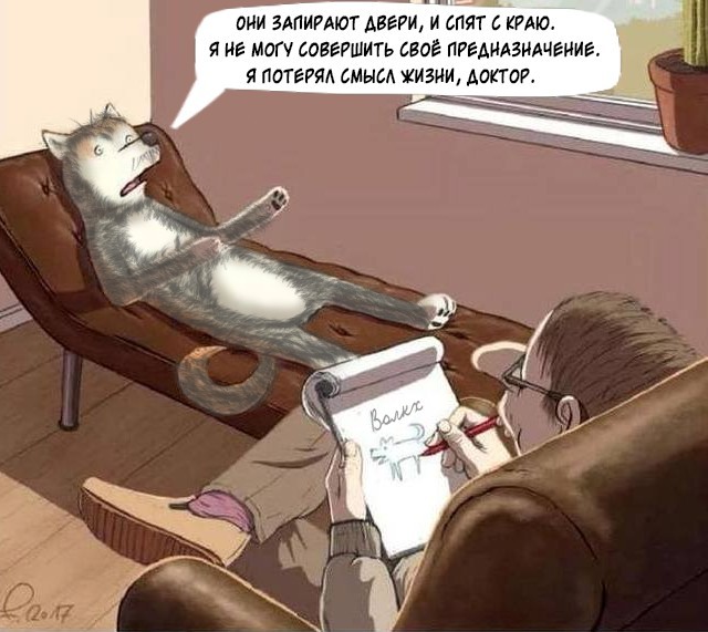 Кот психолог картинки