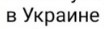 Глава района в Псковской области вместо сведений о доходах опубликовала указ Путина, разрешающий об этом не отчитываться