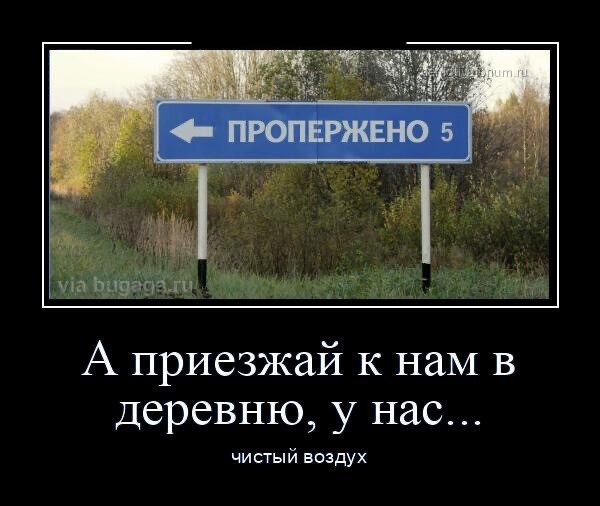 Что можно сделать, чтобы не проперживались трусы⁠⁠