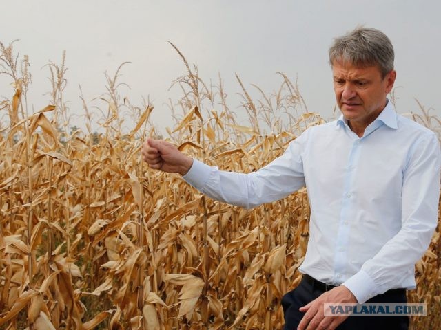 11 лет не было выходных в воскресенье в Советском Союзе