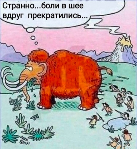 Так себе картинки 06.12.23
