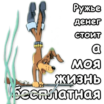 Жители пгт Новозавидовский замерзают. Обращение к ВВП. Полиция.