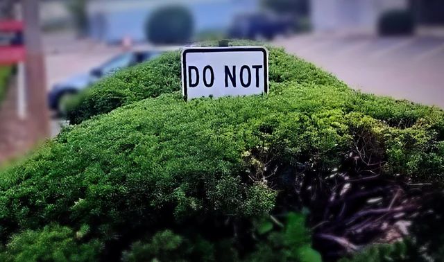 ФотоВинегрет