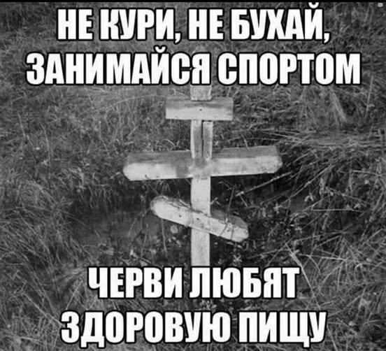 АлкоНовогодние баяны