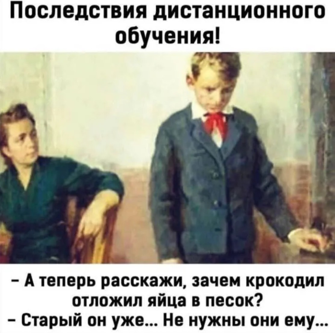 20127889.jpg