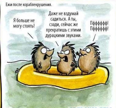 Куча сала 9
