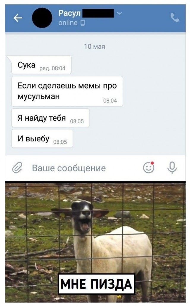 Веселые картинки в пятницу (19.12)