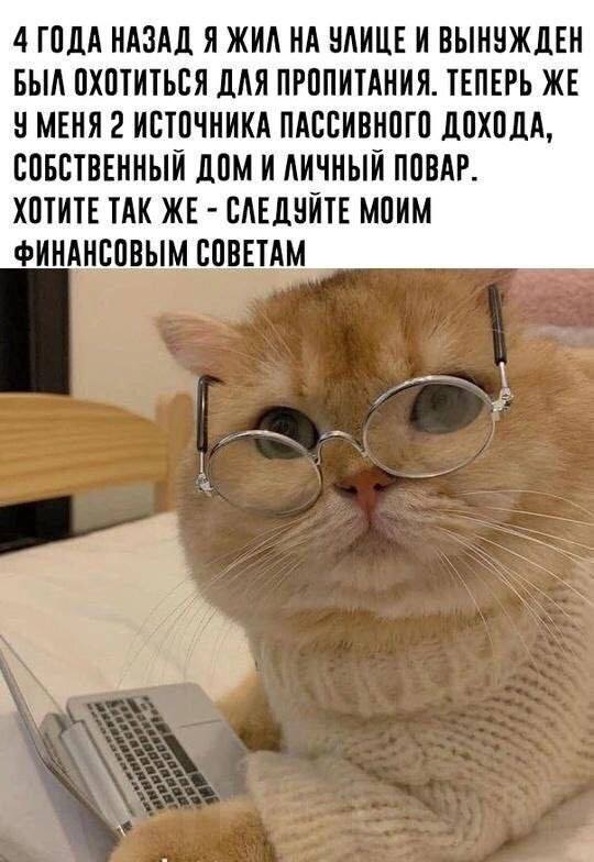 Картинки для деградации 143 (разной степени свежести)