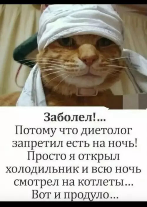 Картиночки, баянчики 21 февраля