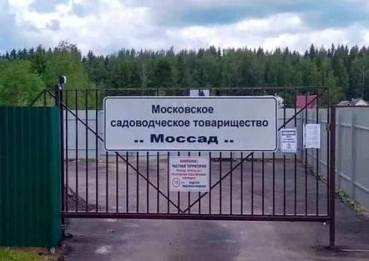 Картинки для деградации 183 (разной степени свежести)