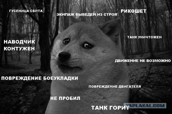Wargaming 8