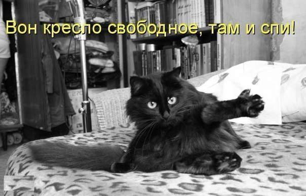 Не про олимпиаду