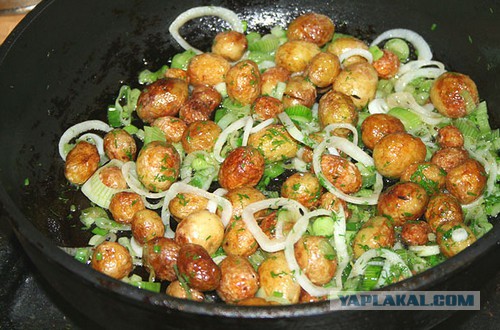 Пищевые привычки. Все из детства