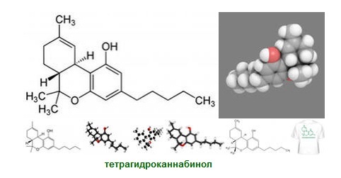 Он еще не понимает